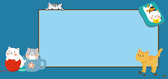 Collection Spotlight: Women's Cat T-Shirt Collection