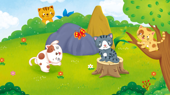 Collection Spotlight: Women's Butterfly Theme